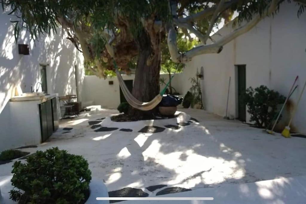 Lovely Studio In Original Finca La Asomada  Εξωτερικό φωτογραφία
